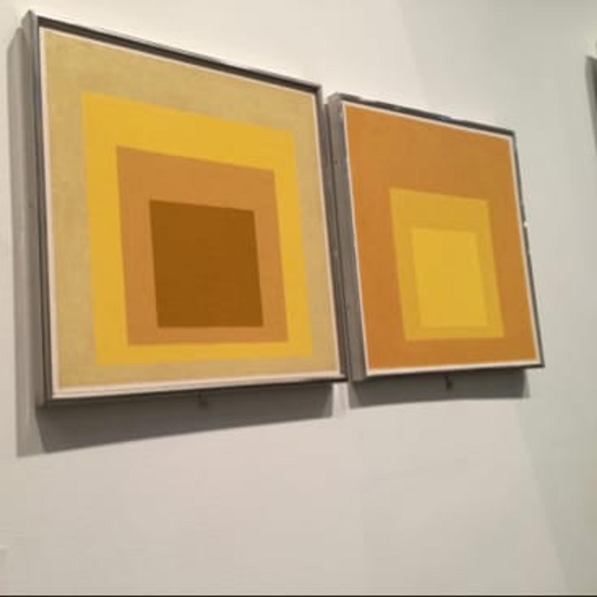 Homage to the Square · Brooklyn Museum