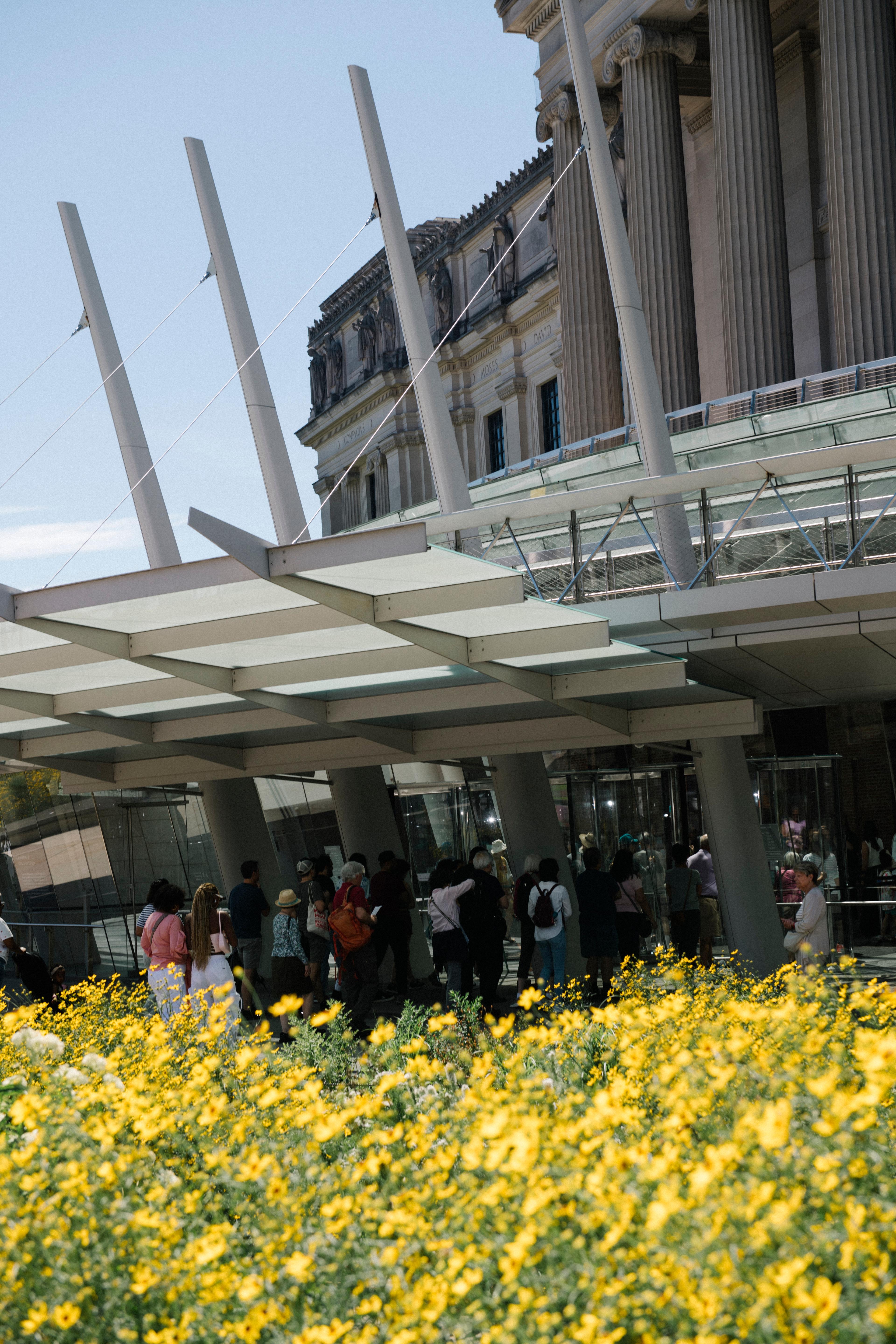 A group of visitors line up outside a glass entrance to a large museum, with yellow flowers in the foreground.