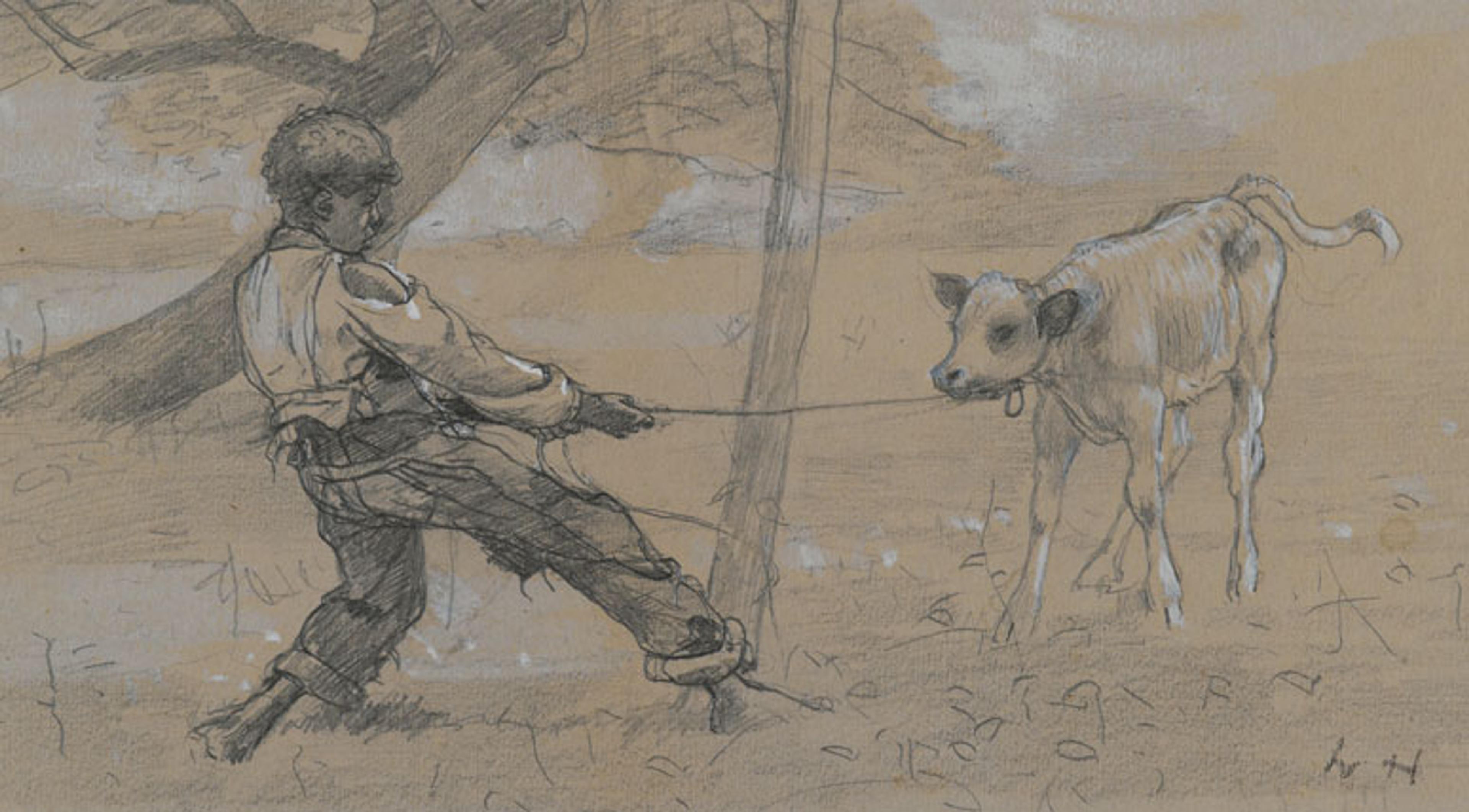 Winslow Homer (American, 1836–1910). The Unruly Calf, circa 1875–76. Graphite and white opaque watercolor on blue-gray wove paper, 411⁄16 x 81⁄2 in. (11.9 × 21.6 cm). Brooklyn Museum, Museum Collection Fund, 24.241