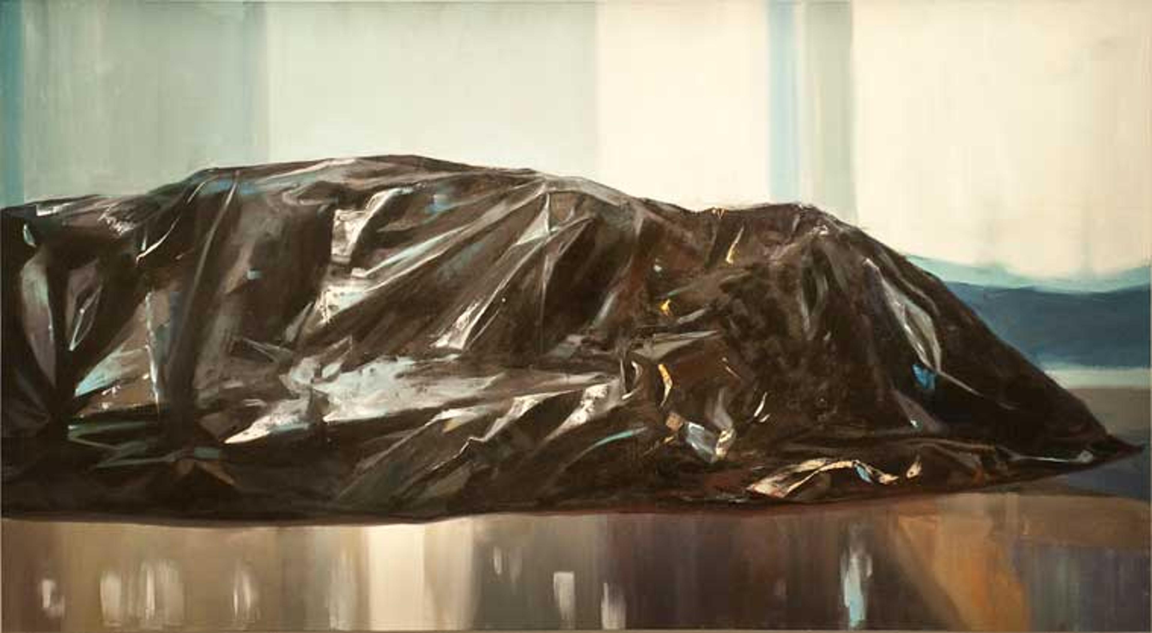 Abdi Farah. Home, 2010. Oil on linen, 53 × 96 in. (134.6 × 243.8 cm). Courtesy of Magical Elves