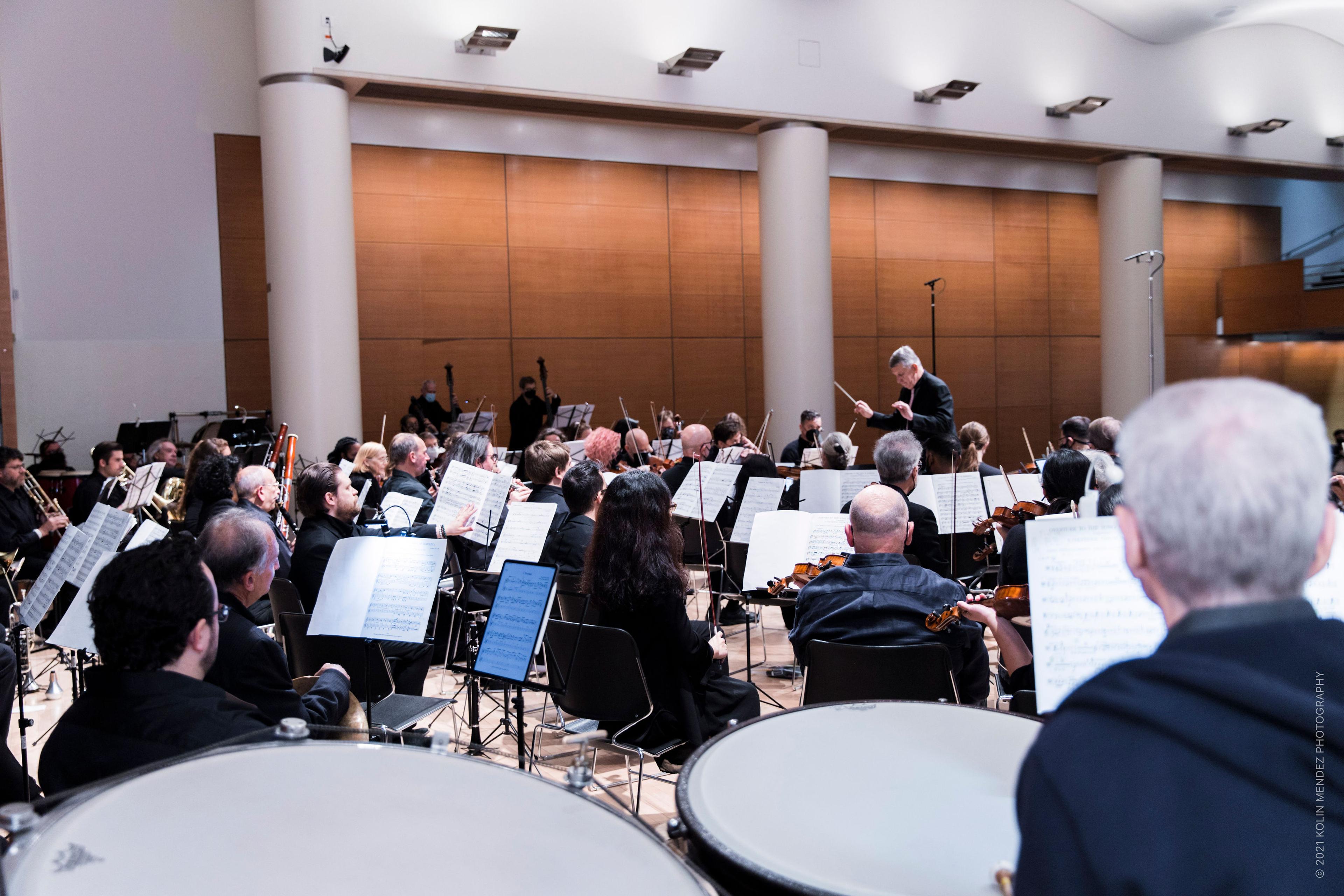 Brooklyn Symphony Orchestra. (Photo: Kolin Mendez)
