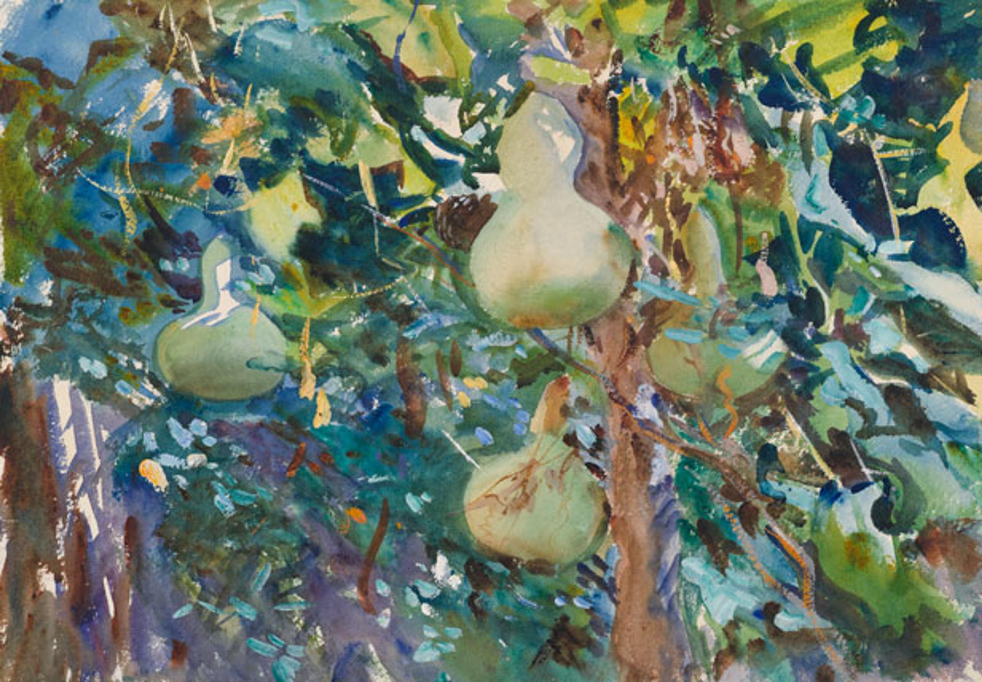 John Singer Sargent (American, 1856–1925). Gourds, 1908. Opaque and translucent watercolor with graphite underdrawing, 14 × 22 in. (35.6 × 55.9 cm). Brooklyn Museum, Purchased by Special Subscription, 09.822