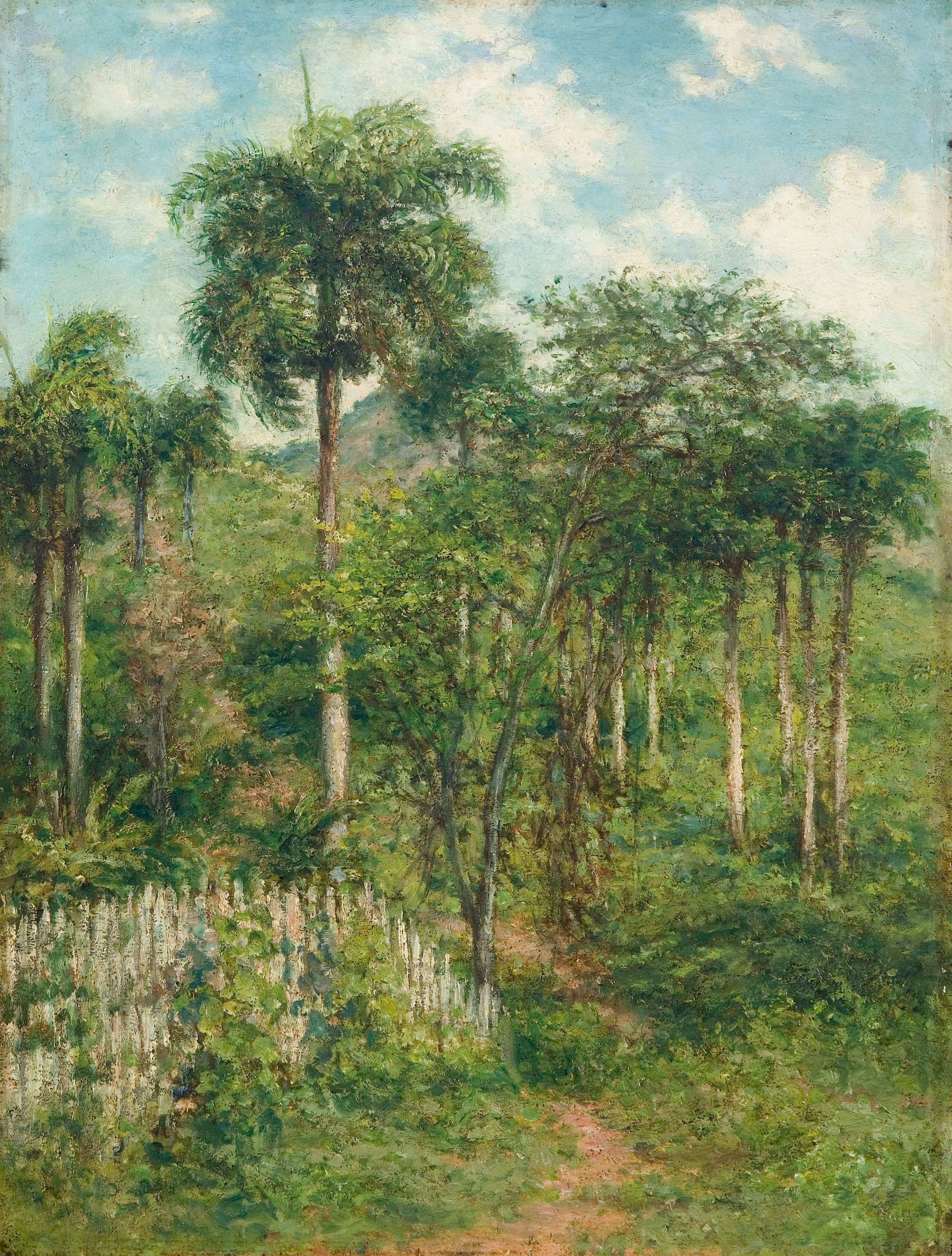Impressionism and the Caribbean: Francisco Oller and His
