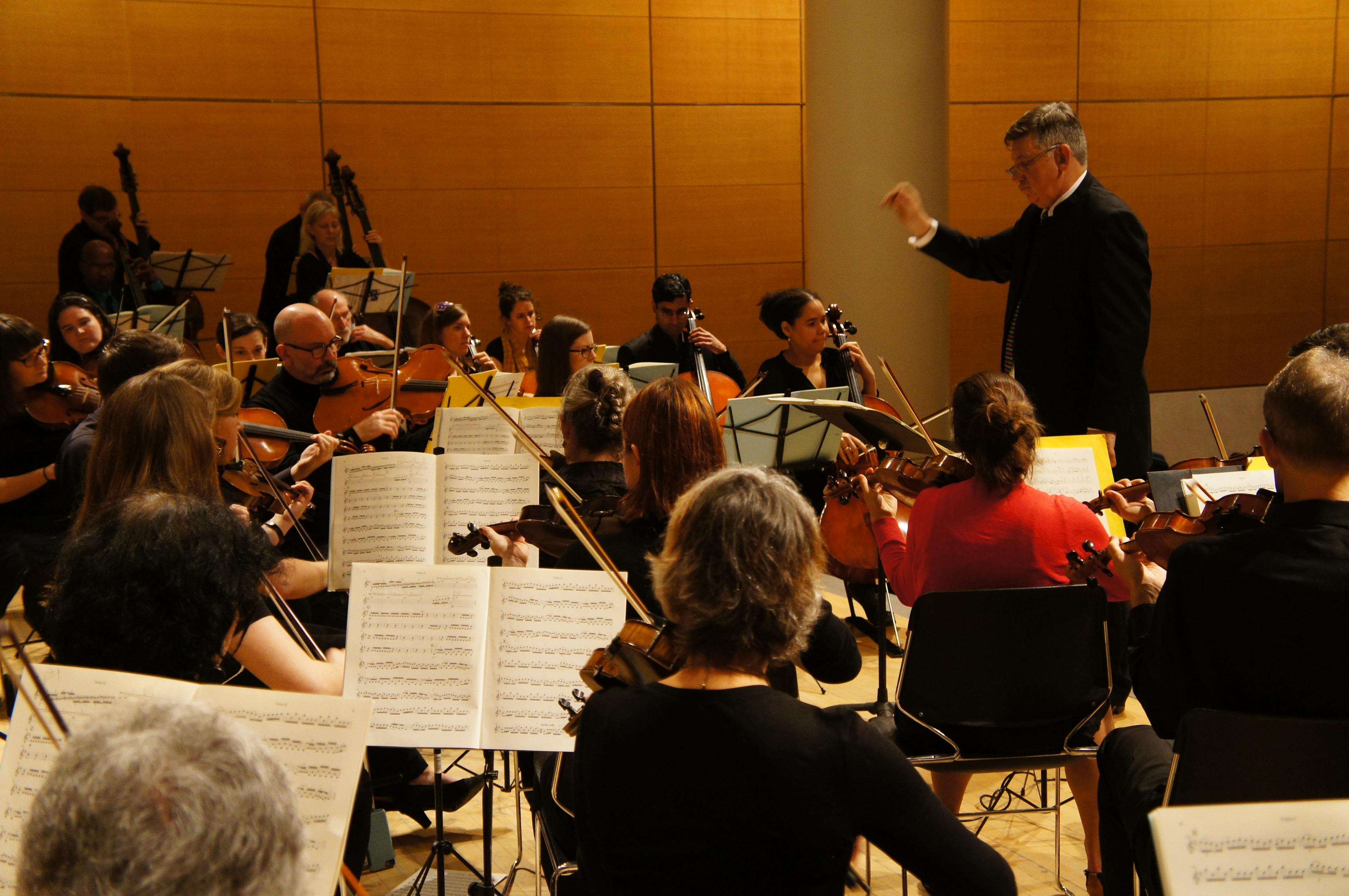 Brooklyn Symphony Orchestra. (Photo: Kolin Mendez)