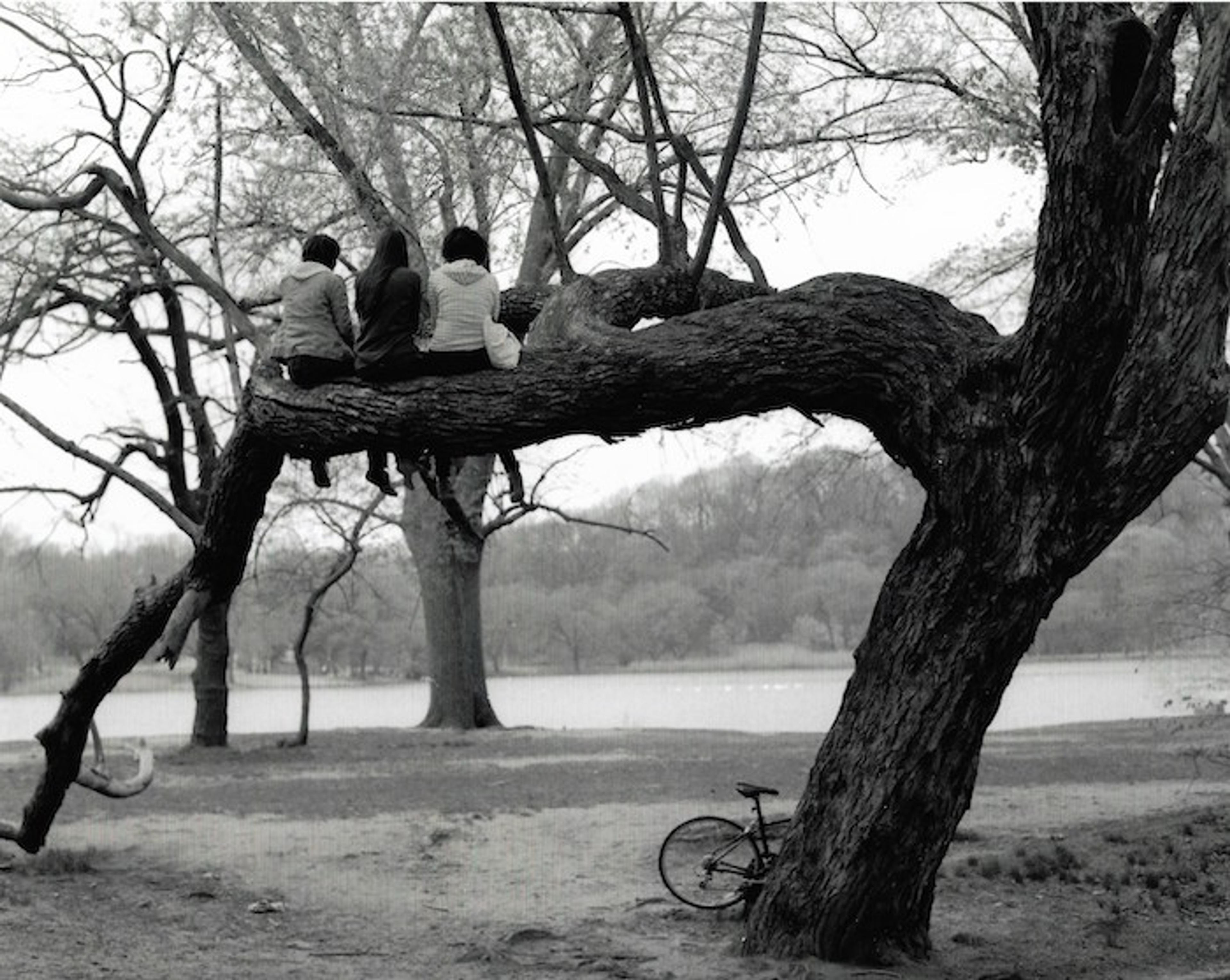 Jamel Shabazz (born Brooklyn, New York, 1960). <i>Best Friends</i>, Prospect Park, Brooklyn, 2004. © Jamel Shabazz