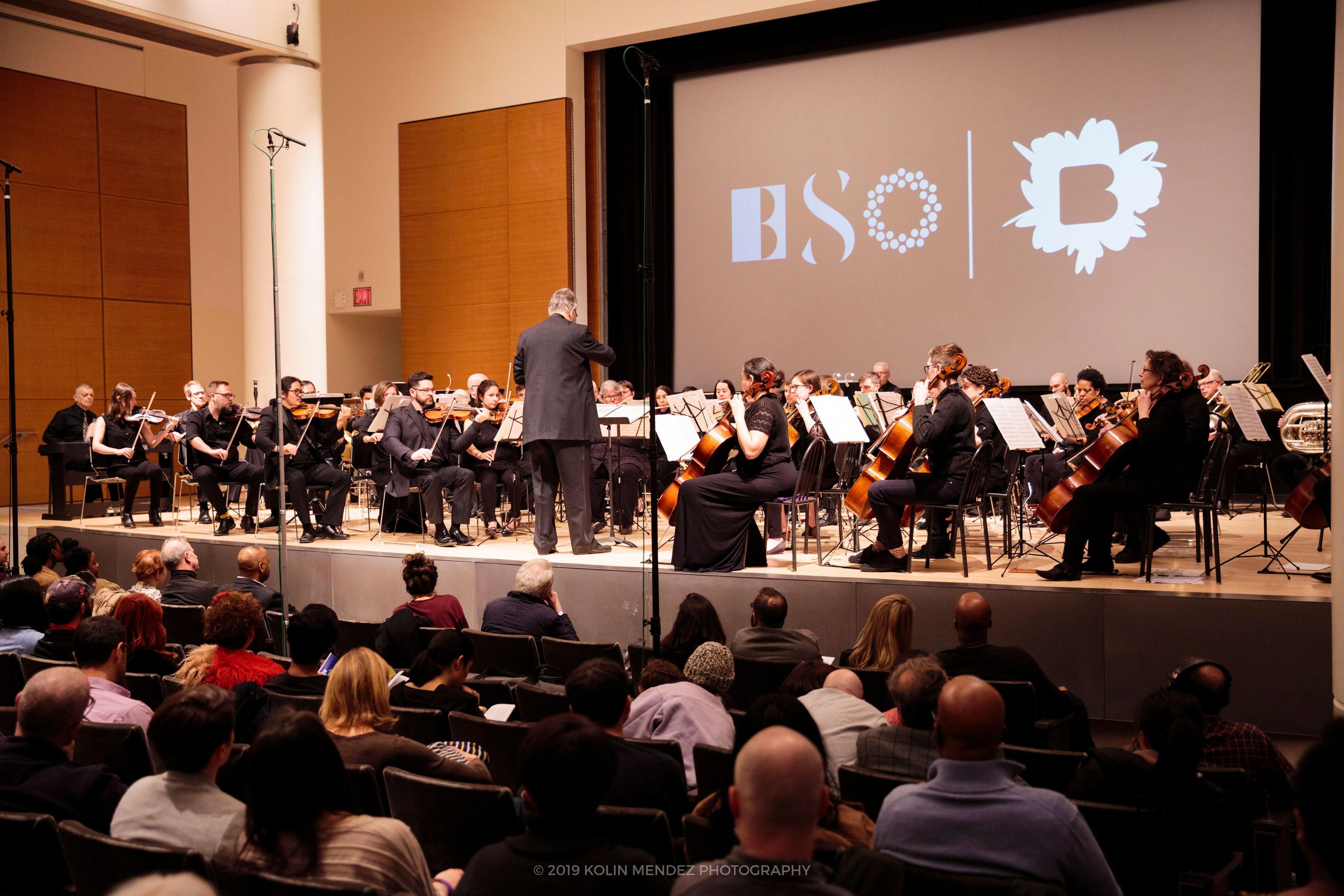 Brooklyn Symphony Orchestra, 2019. (Photo: Kolin Mendez)