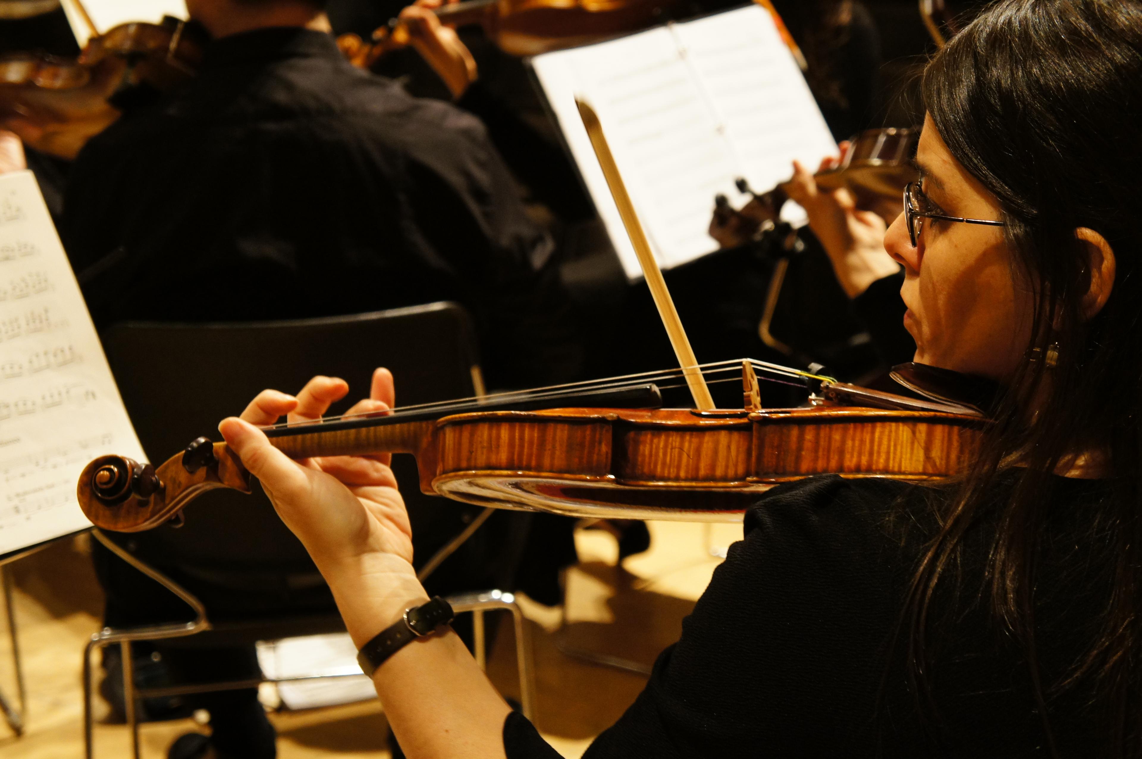 Brooklyn Symphony Orchestra. (Photo: Kolin Mendez Photography)