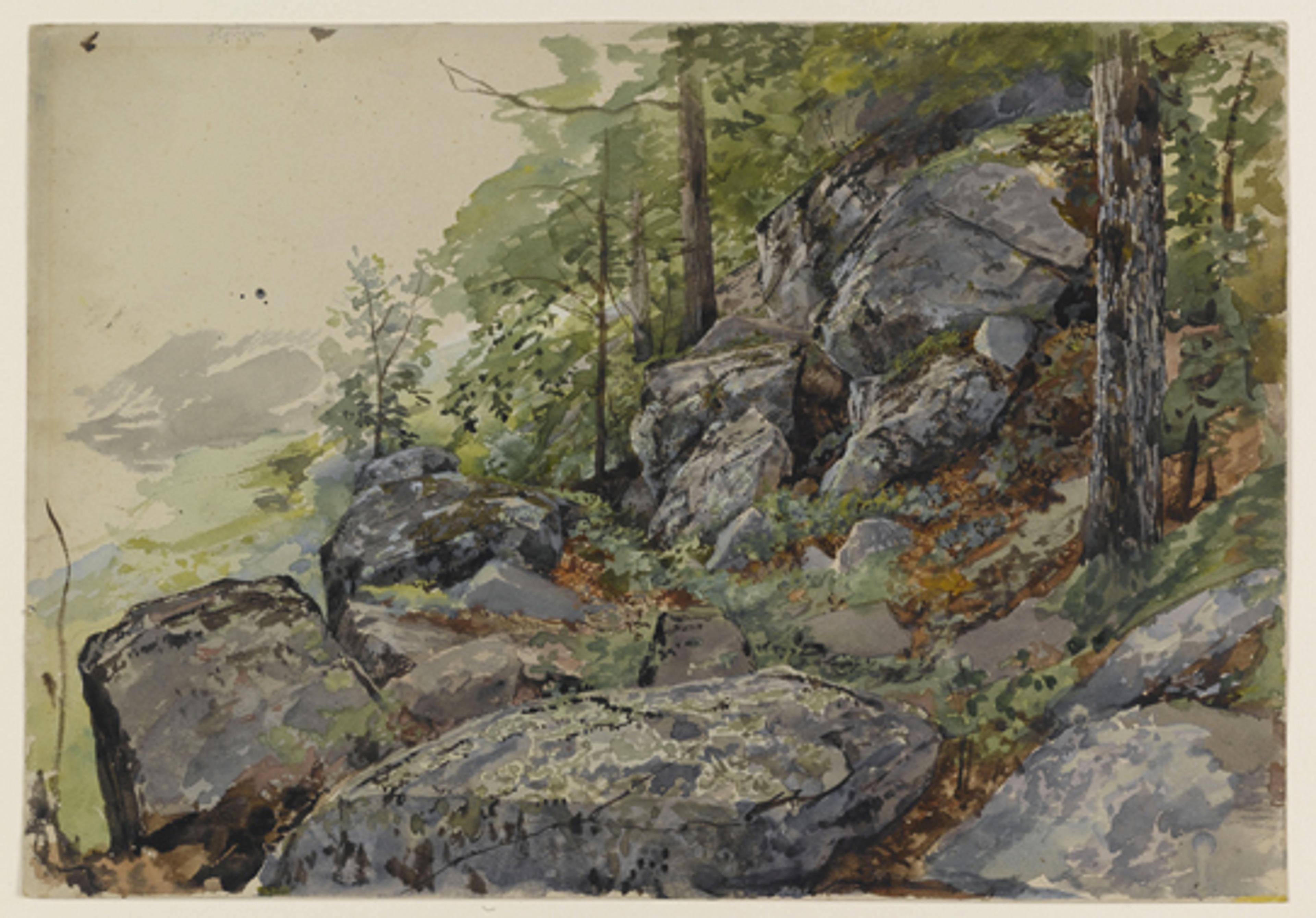 William Trost Richards (American, 1833–1905). Woodland Boulders, circa 1877–78. Watercolor over graphite on paper. Brooklyn Museum, Bequest of Mrs. William T. Brewster through the National Academy of Design, 53.228