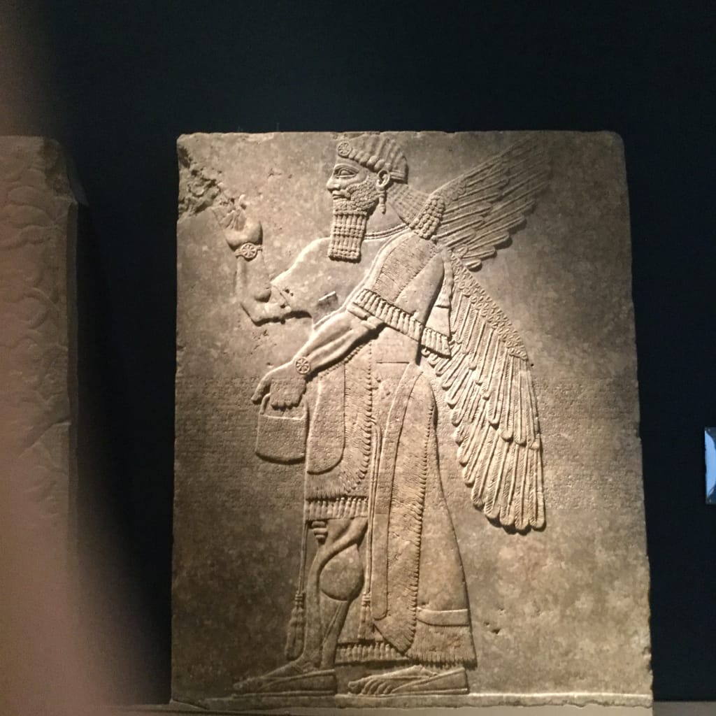 洋書　Mergus Terrarien Atlas 2 カエル 洋書 Mergus Terrarien Atlas 2 カエル 洋書 Mergus Terrarien