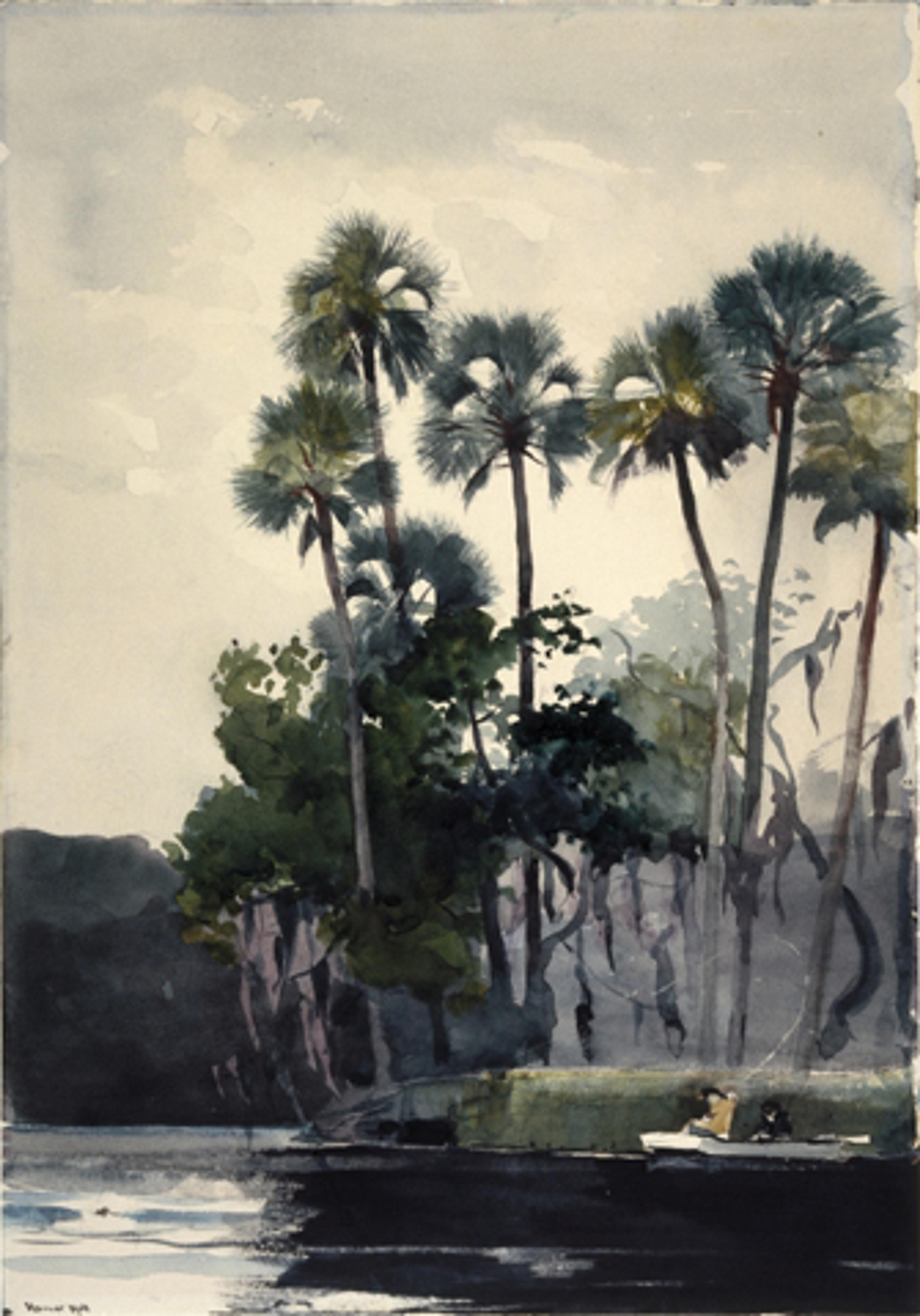 Winslow Homer (American, 1836–1910). Homosassa River, 1904. Watercolor with additions of gum over graphite on cream, moderately thick, moderately textured wove paper. Brooklyn Museum, Museum Collection Fund and Special Subscription, 11.542