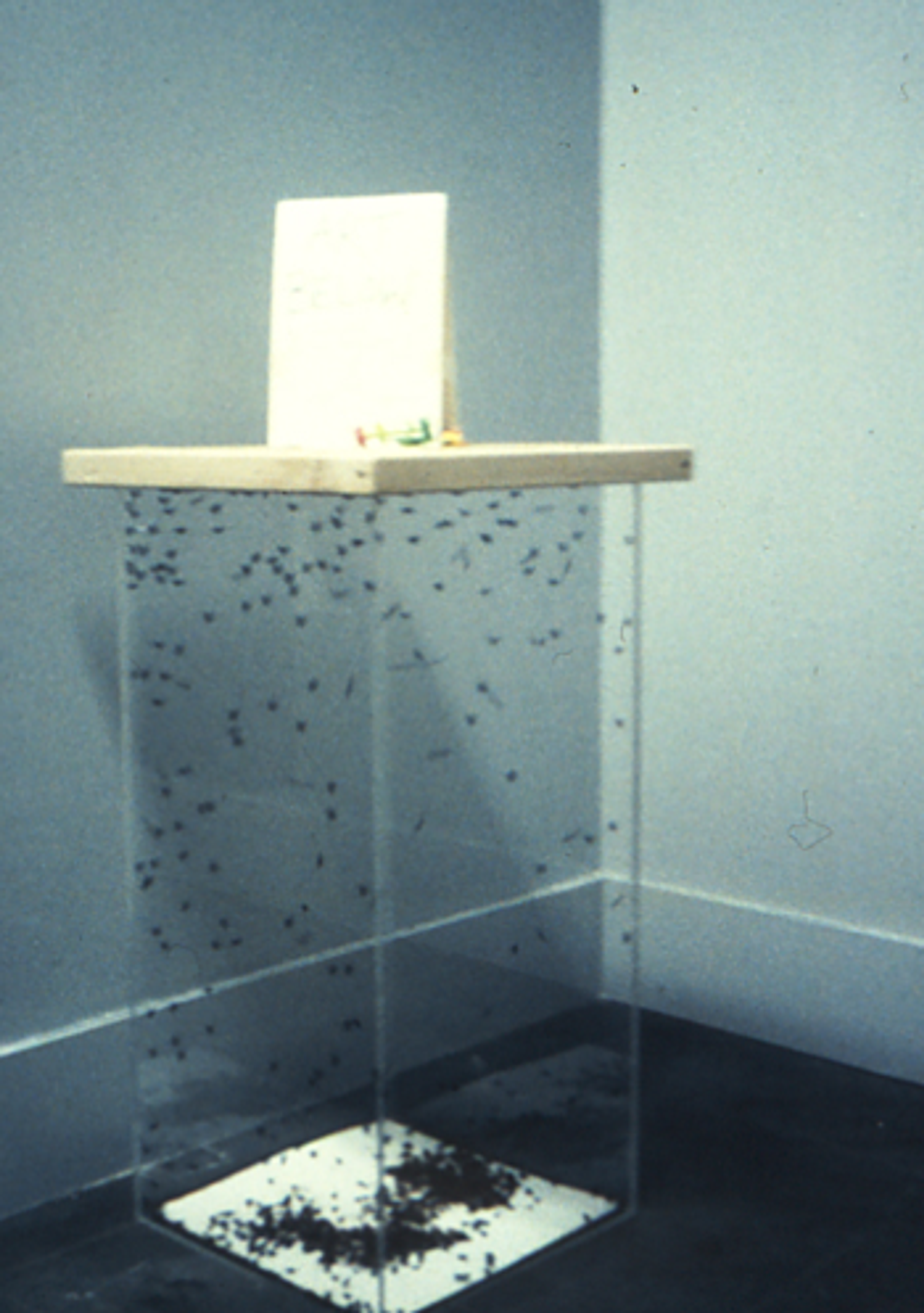 Managing live blowflies was an important part of the conservation team’s work on the Brooklyn Museum’s 1999 exhibition Sensation: Young British Artists from the Saatchi Collection. (Photo: Lisa Bruno)