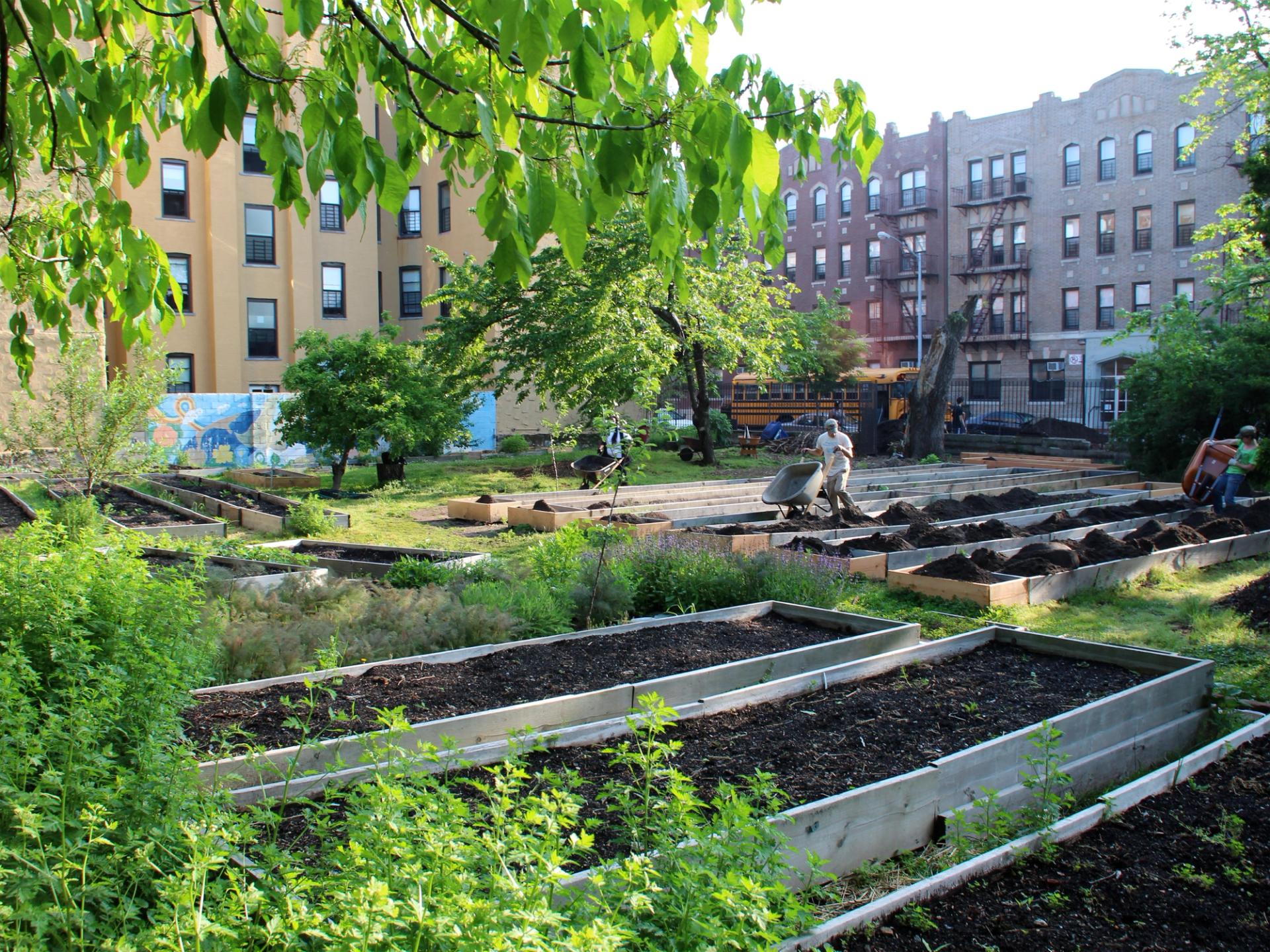 Crossing Brooklyn: Art from Bushwick, Bed-Stuy, and Beyond · Brooklyn ...