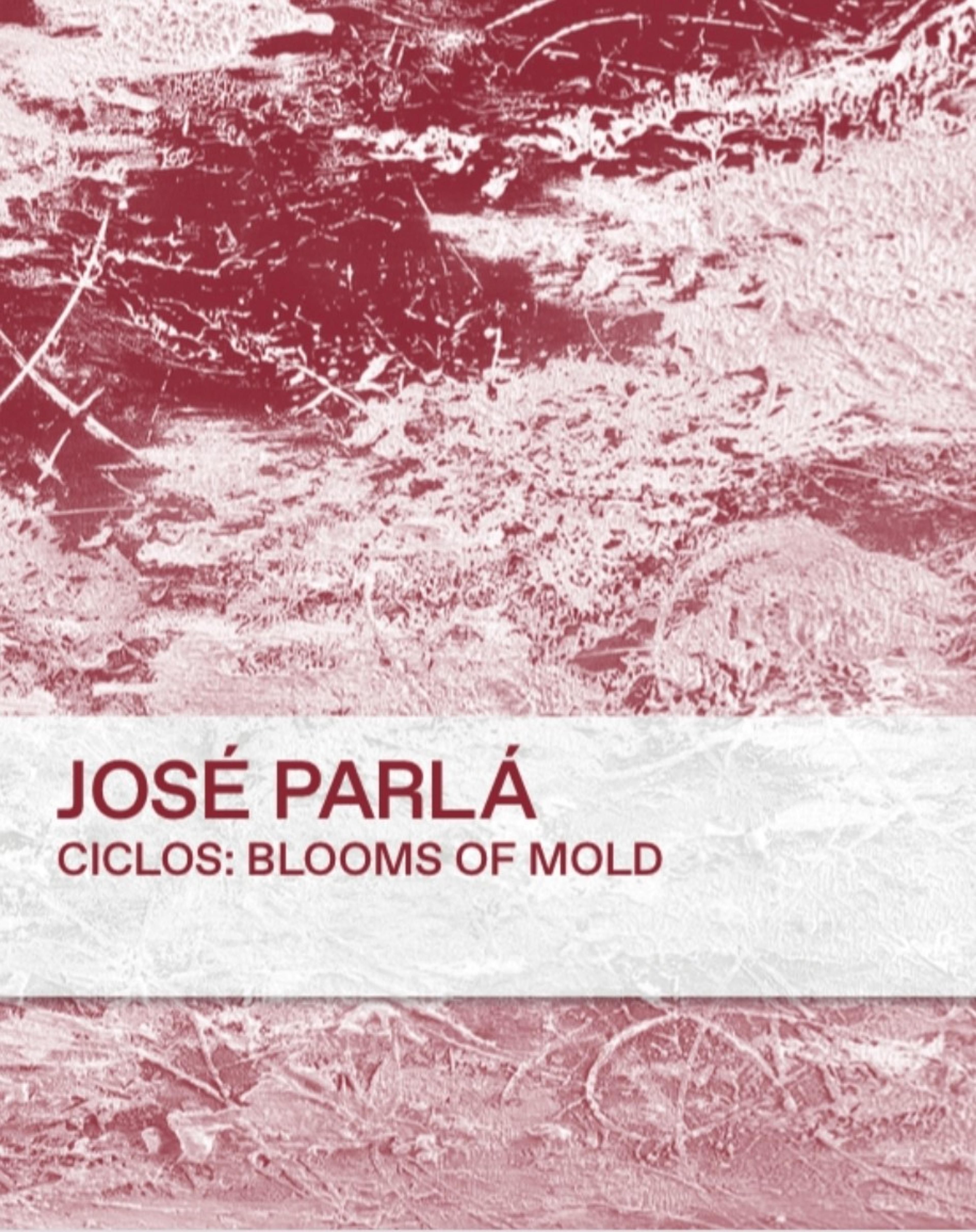 Cover, José Parlá, Ciclos: Blooms of Mold (Bologna, Italy: Damiani, 2023). (Photo: courtesy of José Parlá)