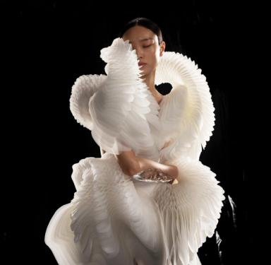 Iris van Herpen. <i>Morphogenesis</i> Dress, from the <i>Sensory Seas</i> collection, 2020. Laser-cut and screenprinted mesh, duchesse satin, and laser-cut Plexiglas. Collaborator: Philip Beesley. Model: Yue Han. (Photo: David Ụzọchukwu)