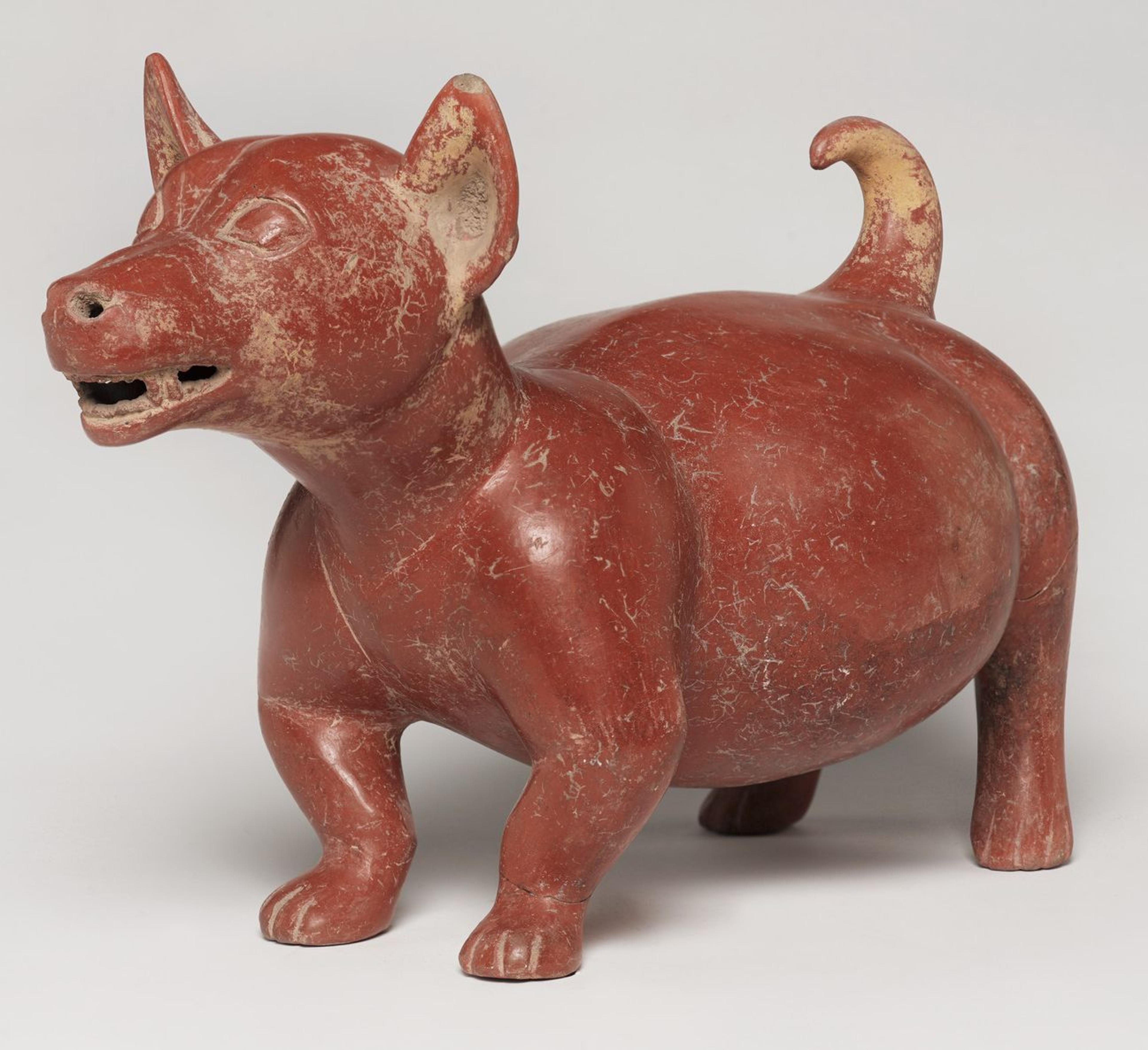 Colima. Dog Figure, 200 B.C.E.–500 C.E. Ceramic, 103/4 x 81/2 x 161/2 in. (27.3 x 21.6 x 41.9 cm). Brooklyn Museum; A. Augustus Healy Fund, 37.390. (Photo: Brooklyn Museum)