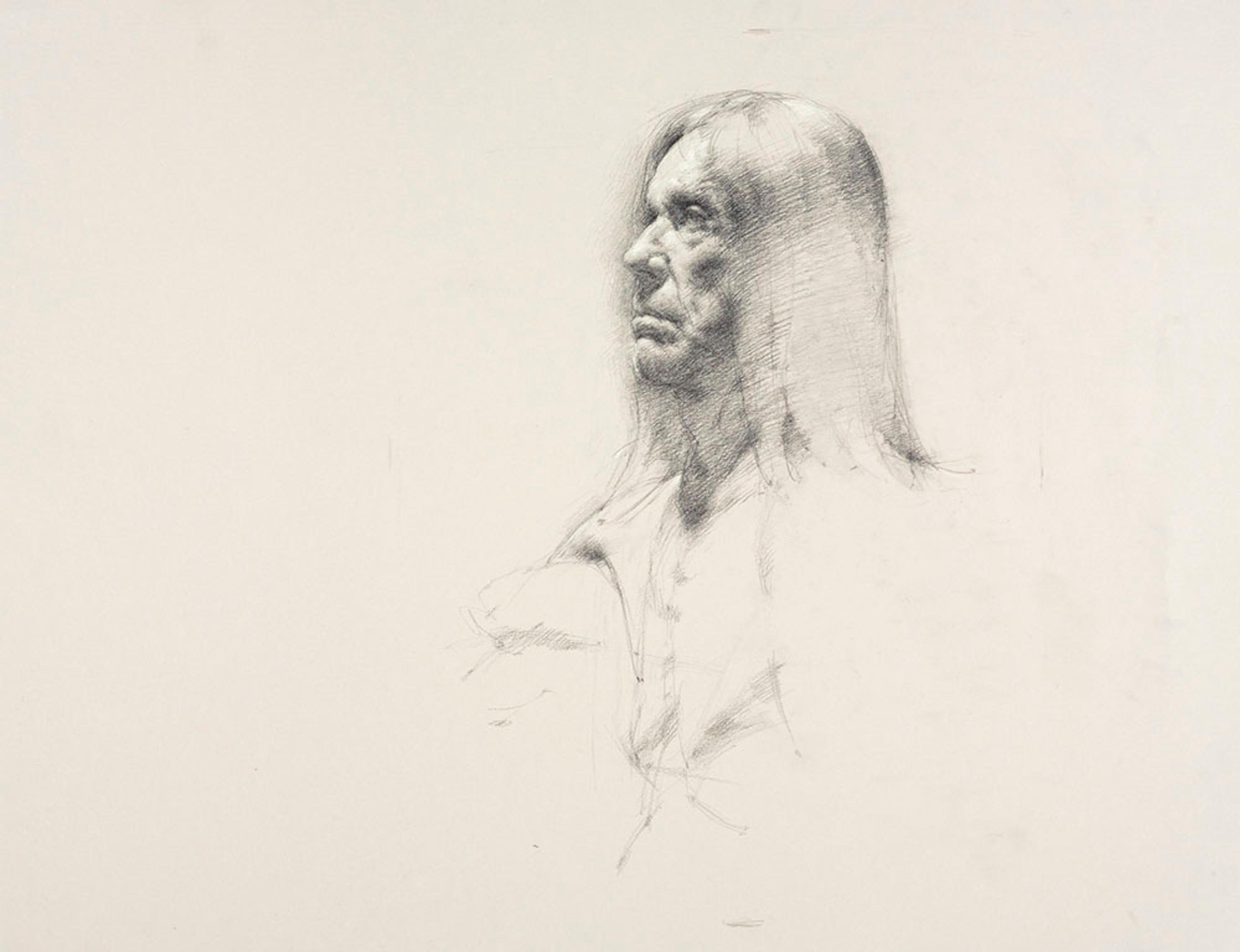 Tobias Hall (American, born 1981). Untitled (Seated pose, detail of face), from Iggy Pop Life Class by Jeremy Deller, 2016. Graphite pencil with touches of white chalk on paper, 197/8 x 251/2 in. (50.5 x 64.8 cm). Brooklyn Museum Collection, TL2016.8.6c. (Photo: Sarah DeSantis, Brooklyn Museum)