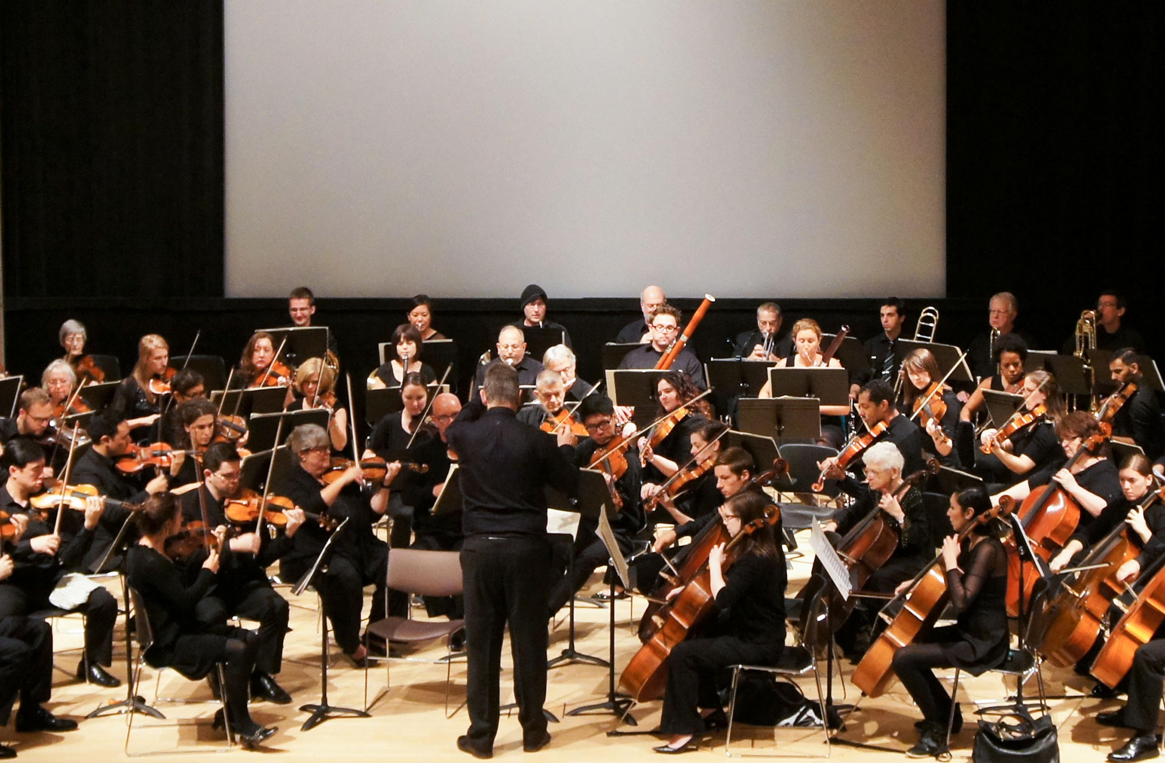 Brooklyn Symphony Orchestra. (Photo: Kolin Mendez Photography)