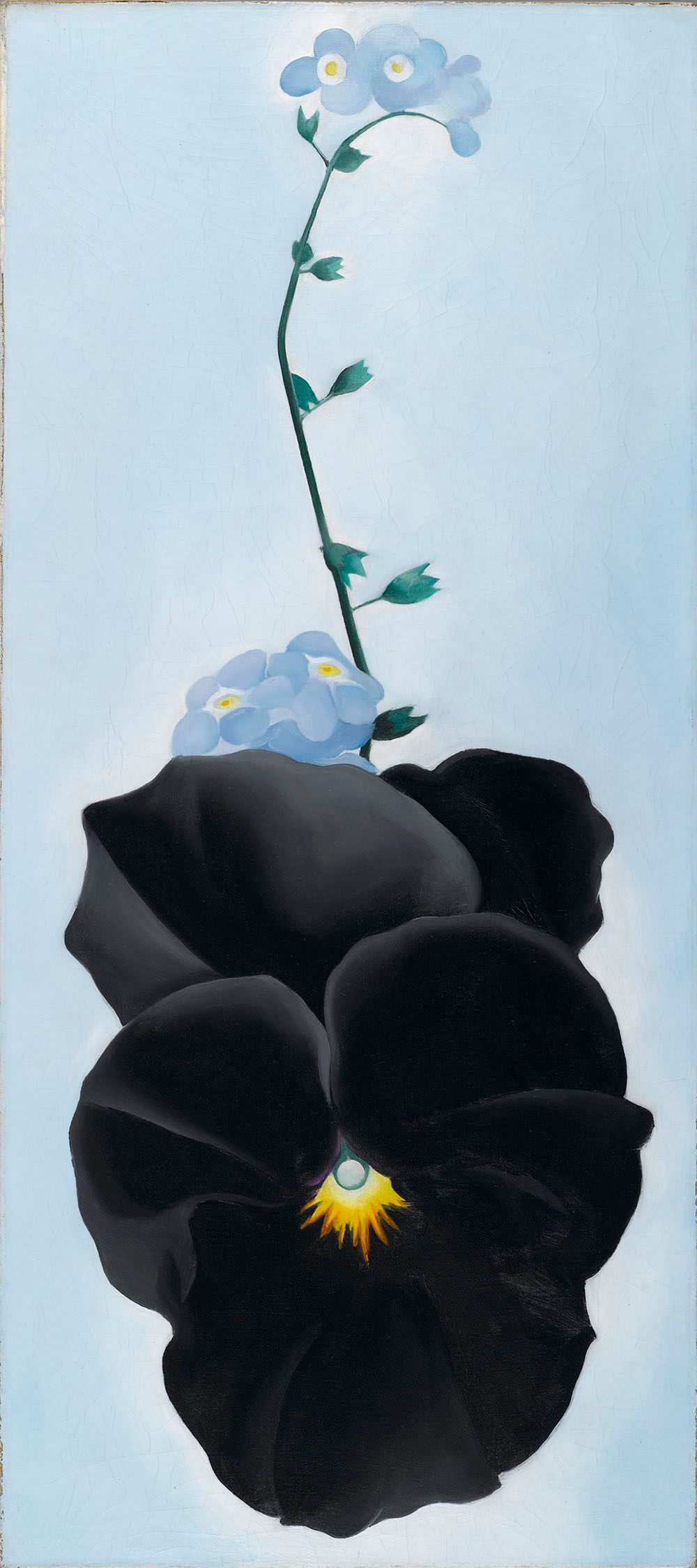 Georgia O'Keeffe: Living Modern · Brooklyn Museum