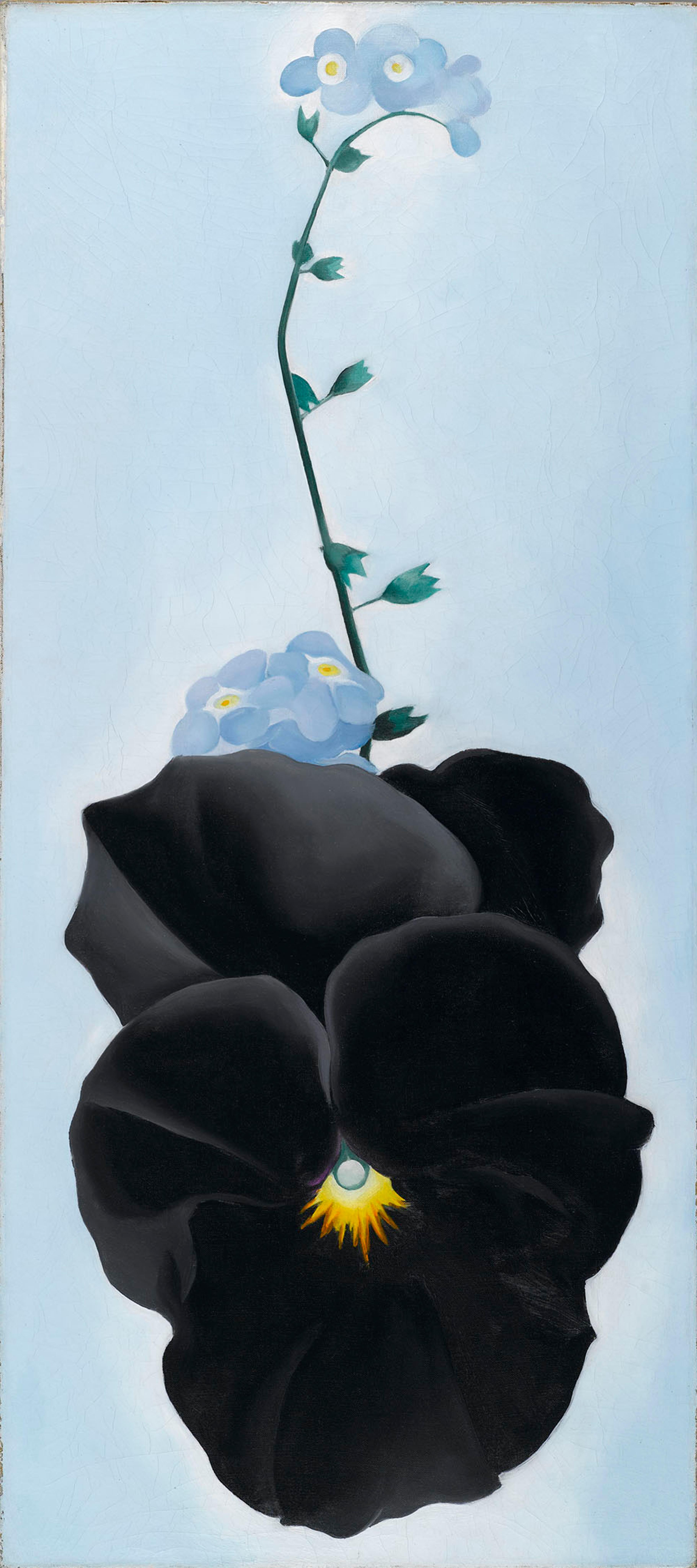 Georgia O’Keeffe. <i>Black Pansy & Forget-Me-Nots (Pansy)</i>, 1926. Oil on canvas. Brooklyn Museum; Gift of Mrs. Alfred S. Rossin, 28.521. (Photo: Brooklyn Museum)