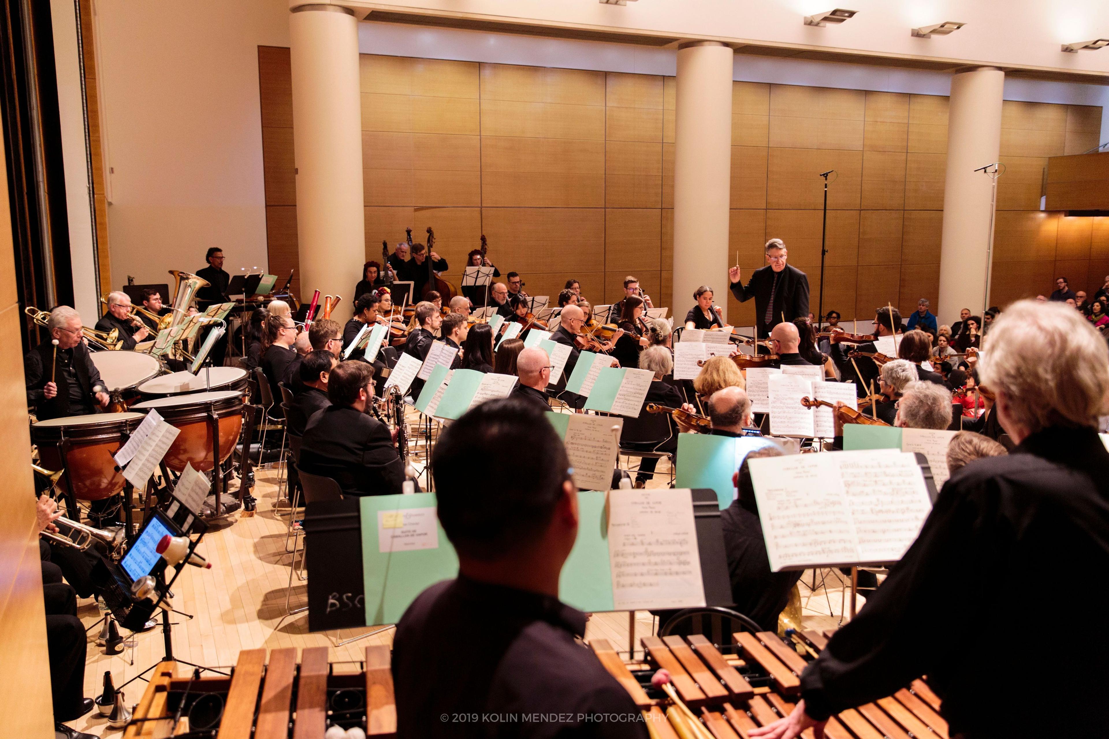 Brooklyn Symphony Orchestra. (Photo: Kolin Mendez Photography)