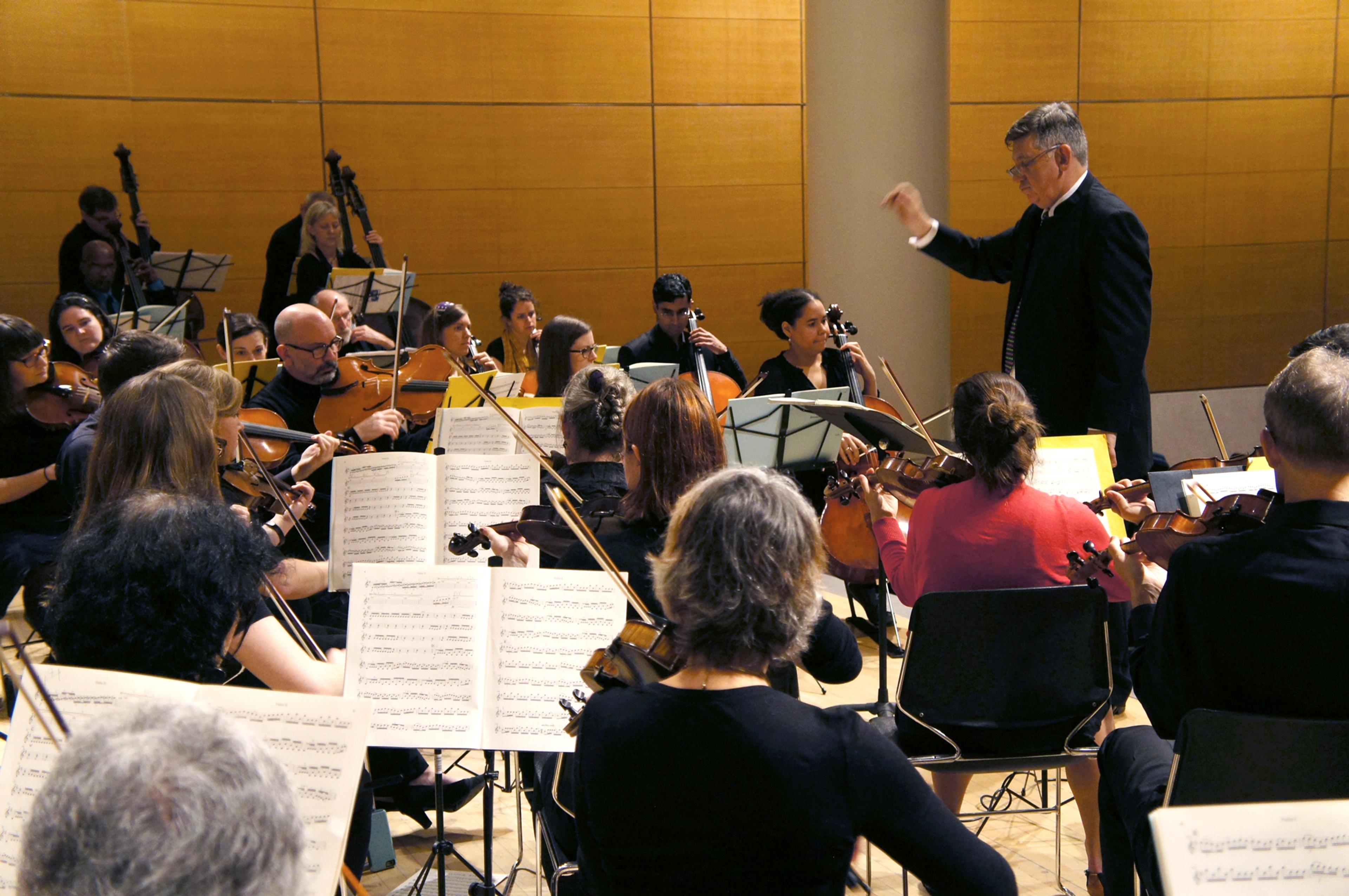 Brooklyn Symphony Orchestra. (Photo: Susan and Loren Abdulezer)