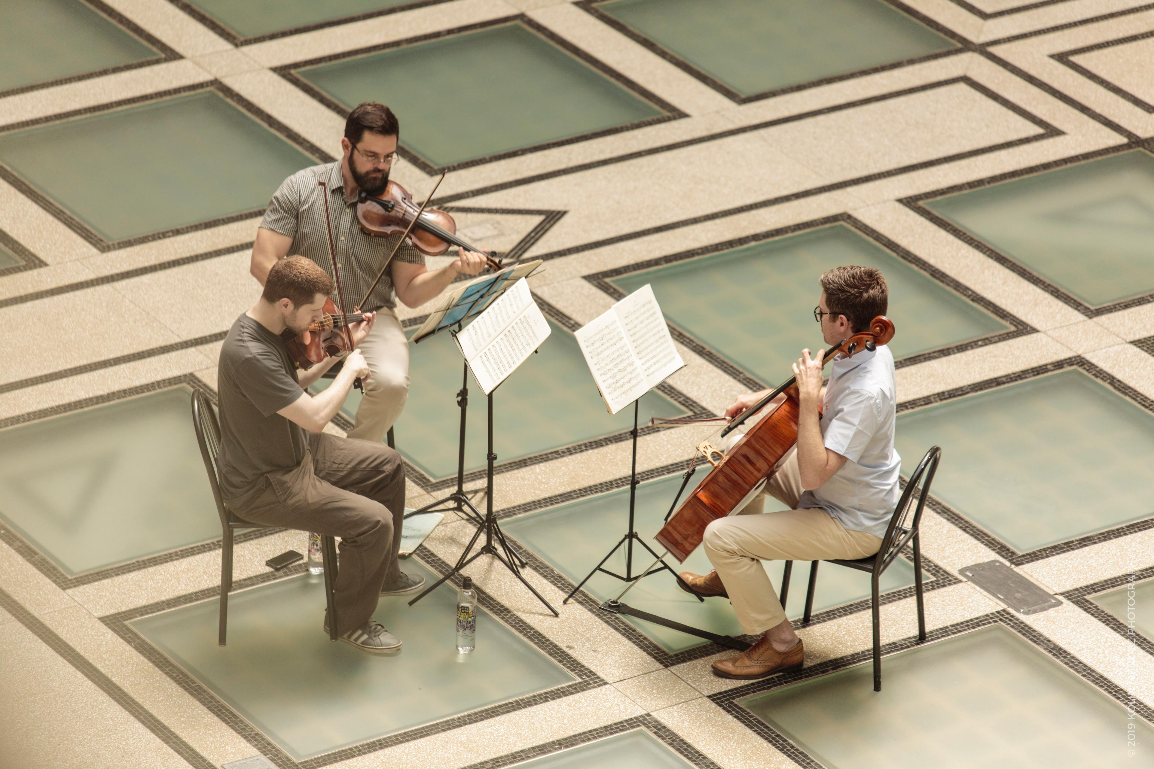 Brooklyn Symphony Orchestra. (Photo: Kolin Mendez)