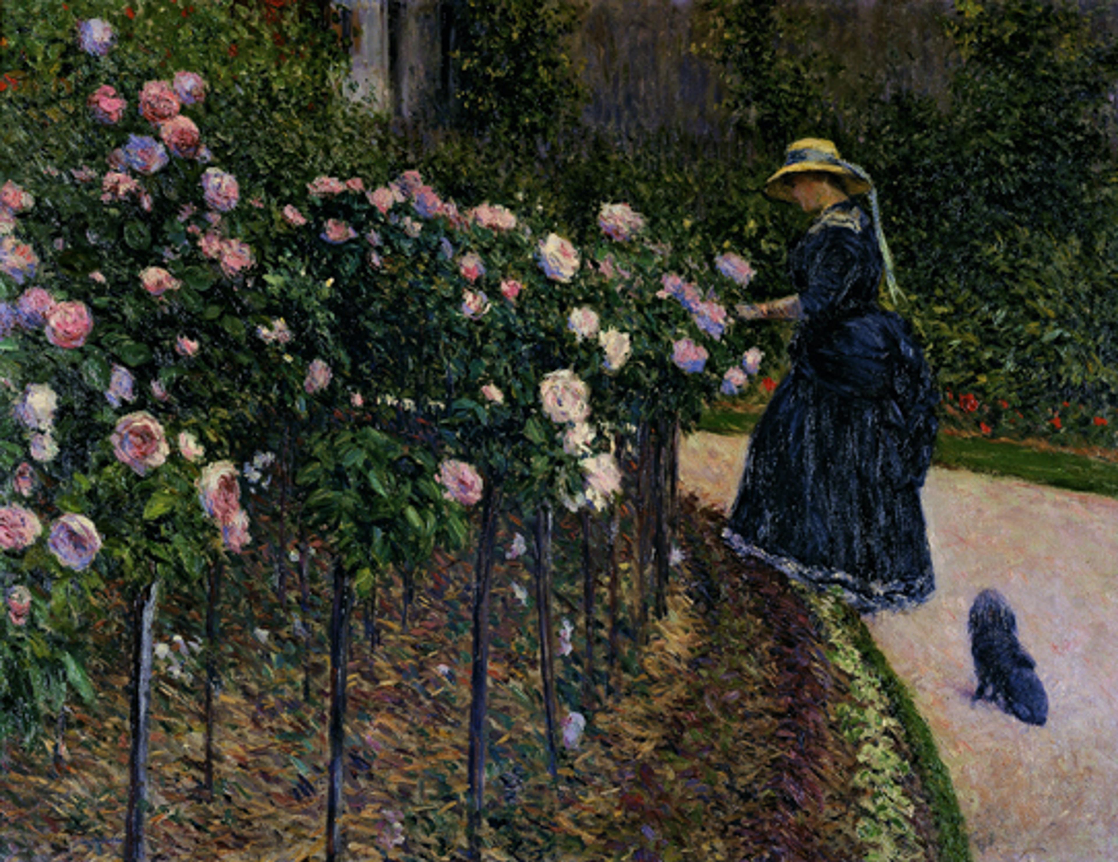 Gustave Caillebotte (French, 1848–1894). Roses in the Garden at Petit Gennevilliers, 1886. Oil on canvas, 351⁄16 x 4511⁄16 in. (89 × 116 cm). Private collection